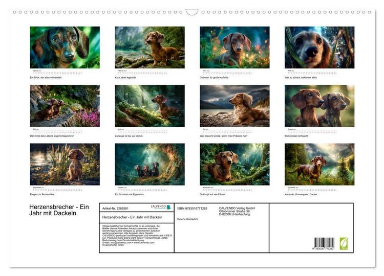 Produktbild: Herzensbrecher - Ein Jahr mit Dackeln (Wandkalender 2027 DIN A2 quer), CALVENDO Monatskalender