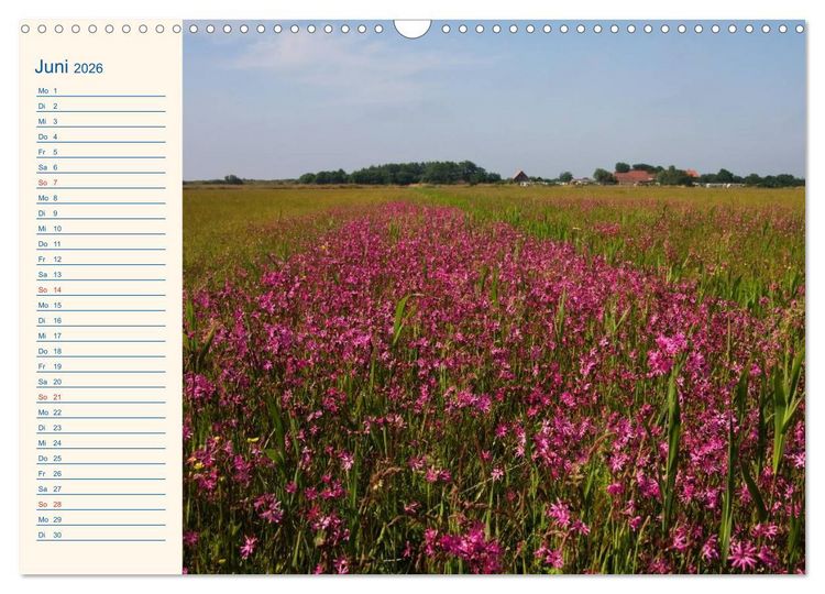 Produktbild: Urlaub auf Borkum (Wandkalender 2026 DIN A3 quer), CALVENDO Monatskalender