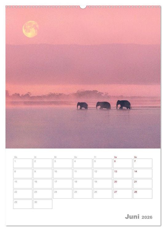 Produktbild: VOLLMOND-Planer - Im Licht der Nacht (Wandkalender 2026 DIN A2 hoch), CALVENDO Monatskalender