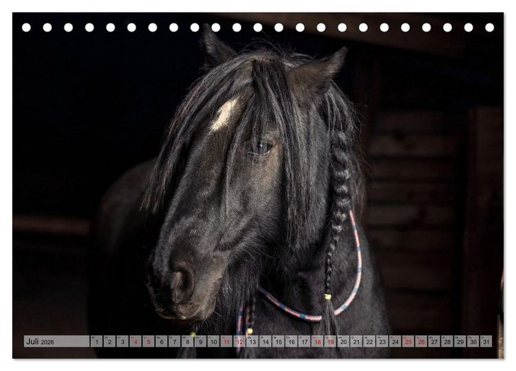 Produktbild: Colorful Horse Ranch &ndash; Wo Tinker posen und Ponys l&auml;cheln (Tischkalender 2026 DIN A5 quer), CALVENDO Monatskalender