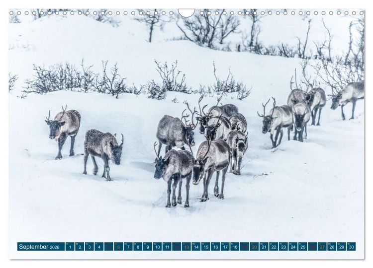 Produktbild: Von Troms&ouml; nach Sommaroy - Winter in Norwegen (Wandkalender 2026 DIN A3 quer), CALVENDO Monatskalender