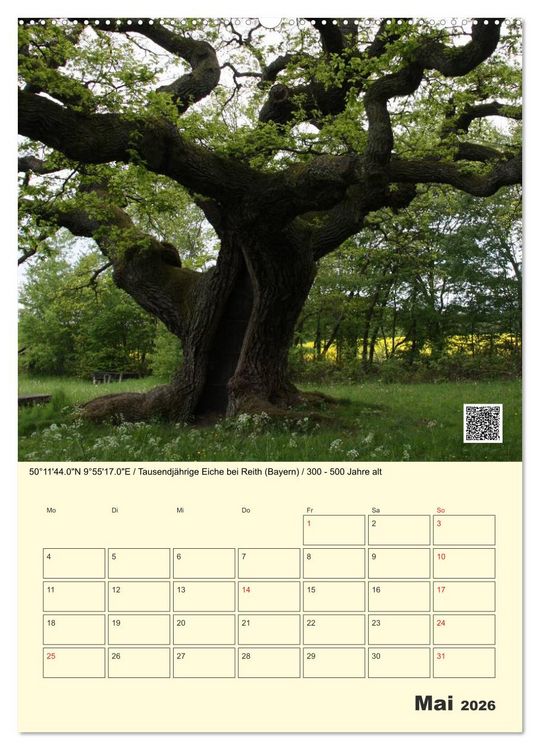Produktbild: Uralt - Mit QR-Code und GPS zu alten B&auml;umen (hochwertiger Premium Wandkalender 2026 DIN A2 hoch), Kunstdruck in Hochglanz