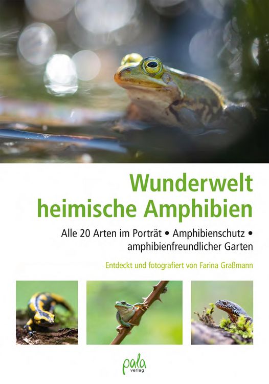 Produktbild: Wunderwelt heimische Amphibien