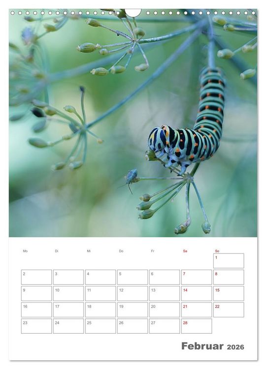 Produktbild: Helden in der Natur (Wandkalender 2026 DIN A3 hoch), CALVENDO Monatskalender