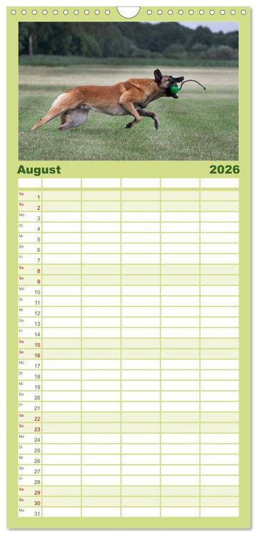 Produktbild: Familienplaner 2026 - Hunde Action mit 5 Spalten (Wandkalender, 21 x 45 cm) CALVENDO