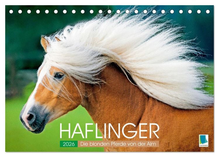 Produktbild: Haflinger: Die blonden Pferde von der Alm (Tischkalender 2026 DIN A5 quer), CALVENDO Monatskalender