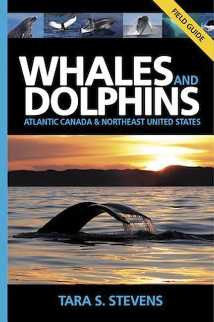 Produktbild: Whales and Dolphins Field Guide