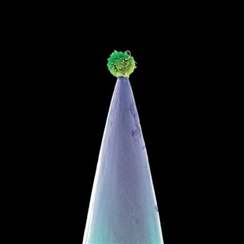 Produktbild: Peter Gabriel: New Blood
