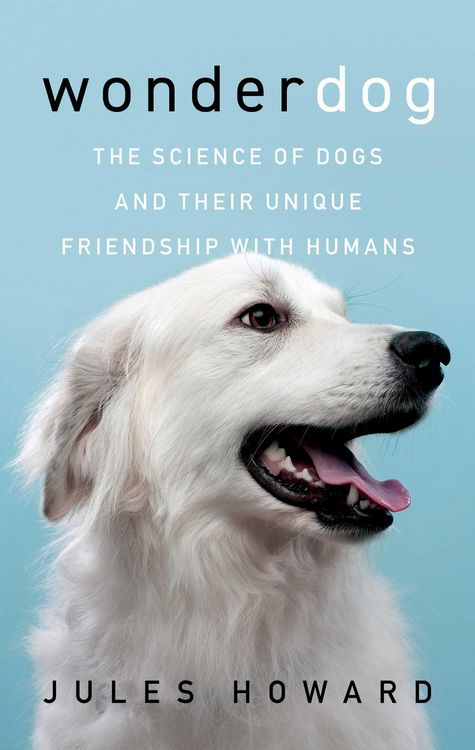 Produktbild: Wonderdog