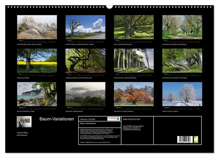 Produktbild: Baum-Variationen (Wandkalender 2026 DIN A2 quer), CALVENDO Monatskalender