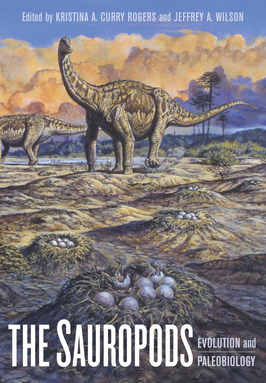 Produktbild: The Sauropods