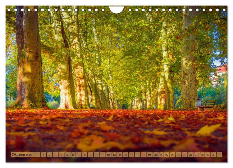Produktbild: T&uuml;bingen - Impressionen aus der Universit&auml;tsstadt (Wandkalender 2026 DIN A4 quer), CALVENDO Monatskalender