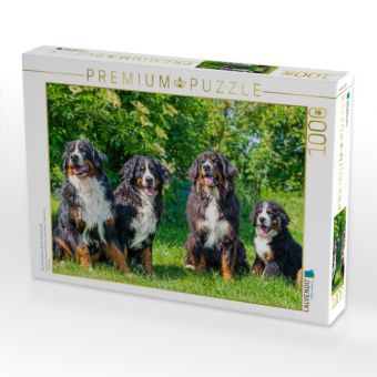 Produktbild: CALVENDO Puzzle Vier Sch&ouml;nheiten - Berner Sennenhunde | 1000 Teile Lege-Gr&ouml;&szlig;e 64x48cm Foto-Puzzle f&uuml;r gl&uuml;ckliche Stunden