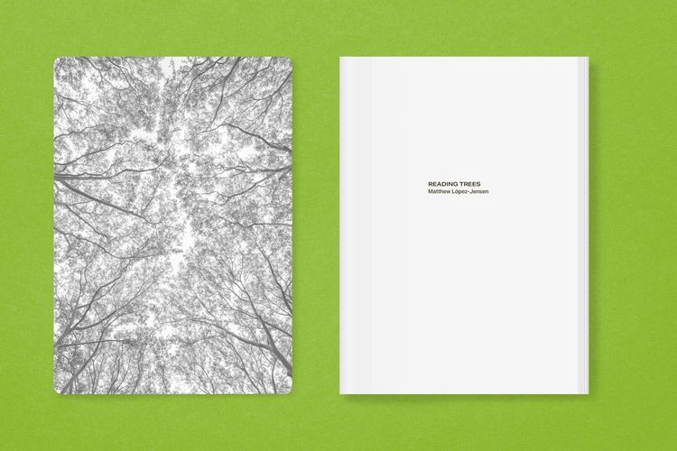 Produktbild: New York City Street Tree Tarot