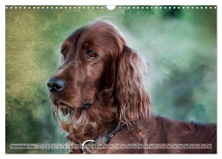 Produktbild: Jagdhunde im Portrait (Wandkalender 2026 DIN A3 quer), CALVENDO Monatskalender