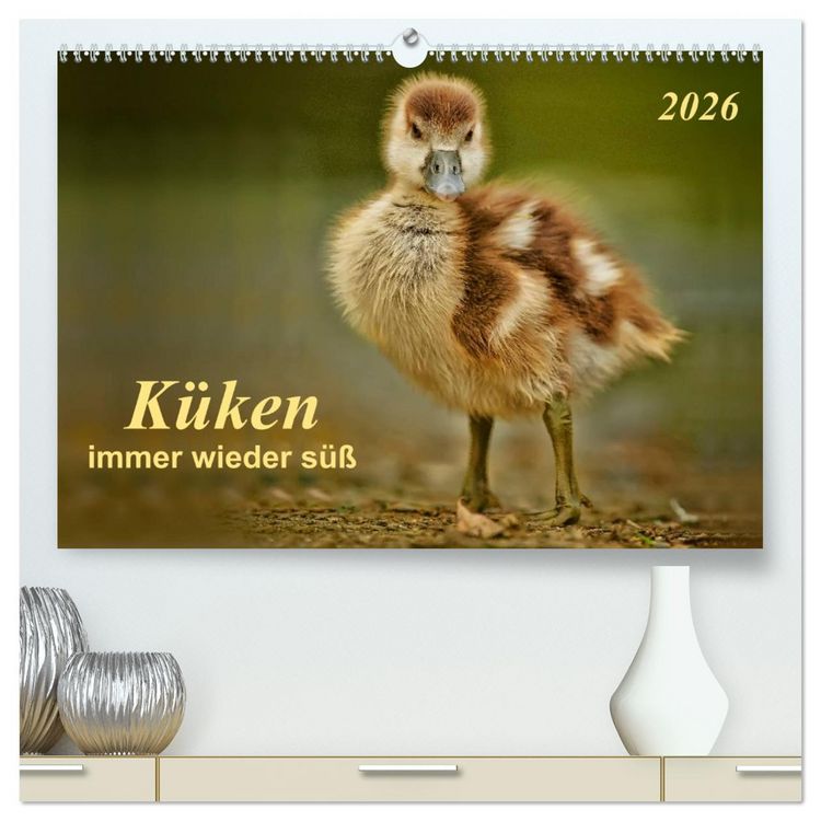 Produktbild: K&uuml;ken - immer wieder s&uuml;&szlig; (hochwertiger Premium Wandkalender 2026 DIN A2 quer), Kunstdruck in Hochglanz