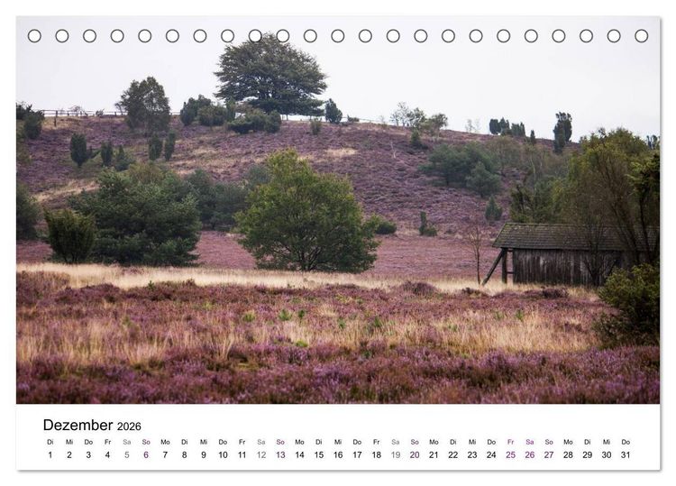 Produktbild: L&uuml;neburger Heide (Tischkalender 2026 DIN A5 quer), CALVENDO Monatskalender