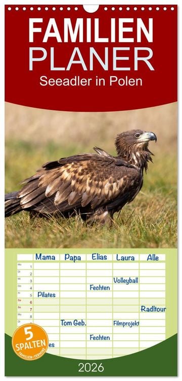 Produktbild: Familienplaner 2026 - Seeadler in Polen mit 5 Spalten (Wandkalender, 21 x 45 cm) CALVENDO