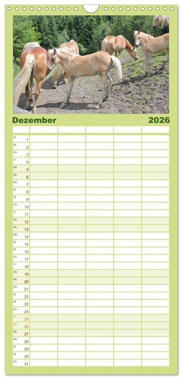 Produktbild: Familienplaner 2026 - Alpenpferde mit 5 Spalten (Wandkalender, 21 x 45 cm) CALVENDO