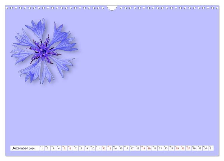 Produktbild: DIY POESIE - BASTELKALENDER (Wandkalender 2026 DIN A3 quer), CALVENDO Monatskalender