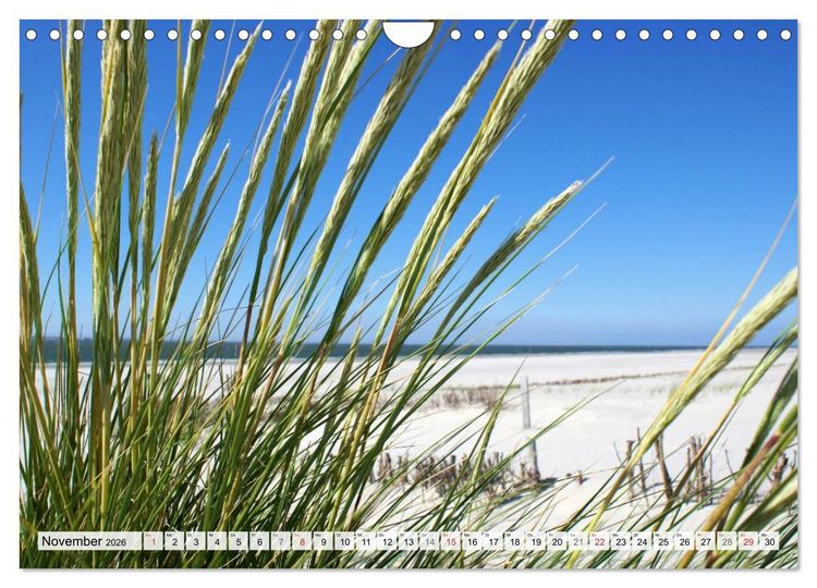 Produktbild: Amrum &ndash; Trauminsel in der Nordsee (Wandkalender 2026 DIN A4 quer), CALVENDO Monatskalender
