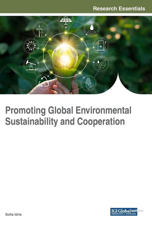 Produktbild: Promoting Global Environmental Sustainability and Cooperation