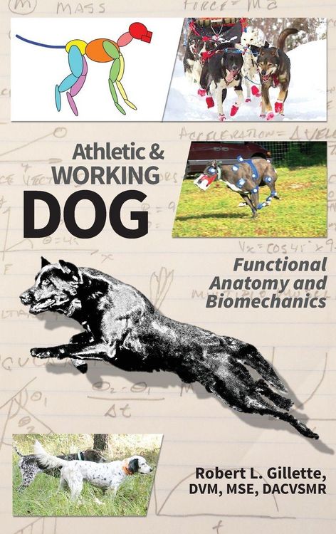 Produktbild: Athletic and Working Dog