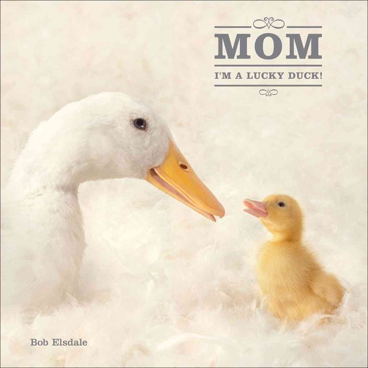Produktbild: Mom im a Lucky Duck