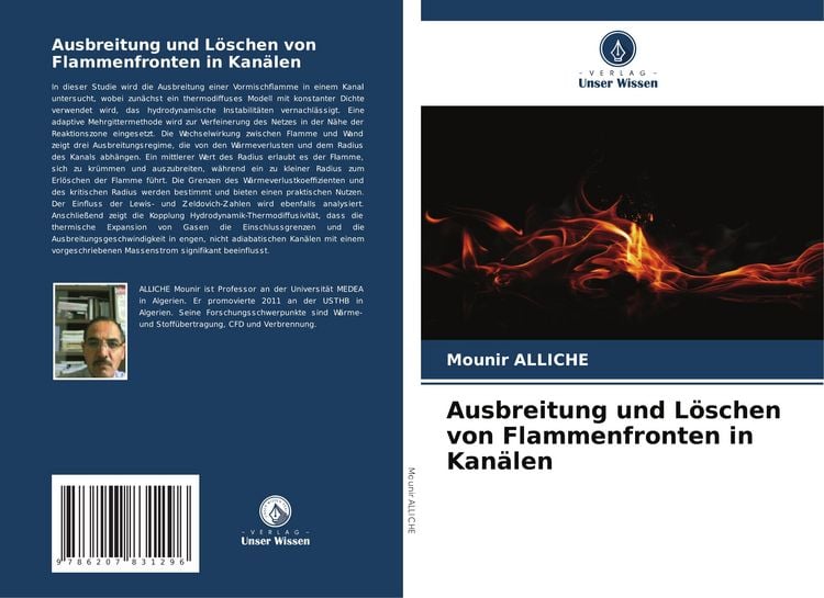 Produktbild: Ausbreitung und L&ouml;schen von Flammenfronten in Kan&auml;len