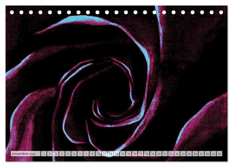 Produktbild: Roses peintes (Calendrier de bureau 2026 DIN A5 vertical), CALVENDO calendrier mensuel