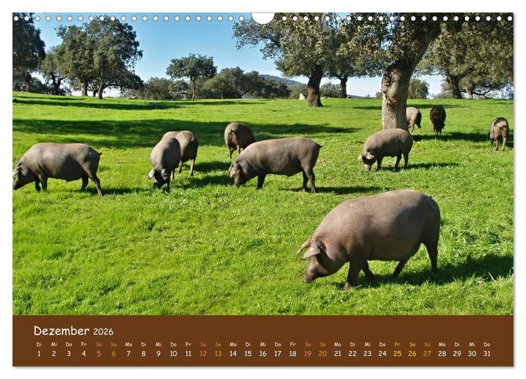 Produktbild: Extremadura Spanien (Wandkalender 2026 DIN A3 quer), CALVENDO Monatskalender