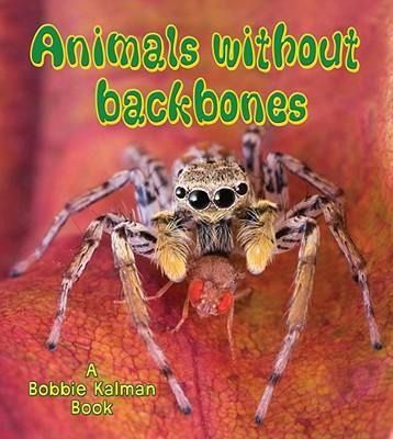 Produktbild: Animals Without Backbones