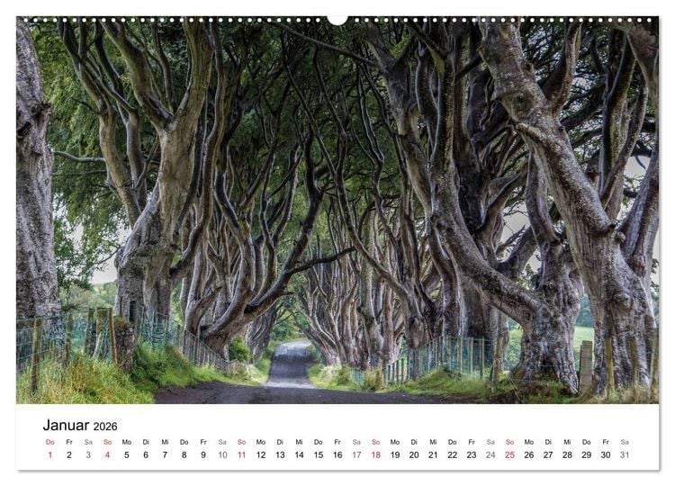 Produktbild: Irland wie gemalt (Wandkalender 2026 DIN A2 quer), CALVENDO Monatskalender