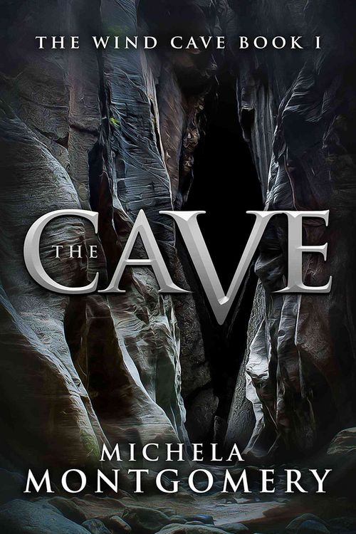 Produktbild: The Cave