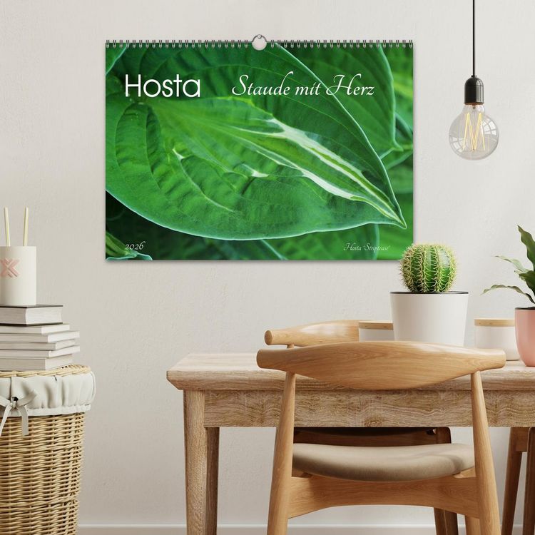 Produktbild: Hosta Staude mit Herz (Wandkalender 2026 DIN A3 quer), CALVENDO Monatskalender