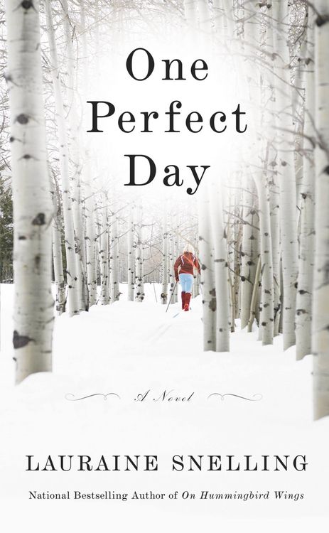 Produktbild: One Perfect Day