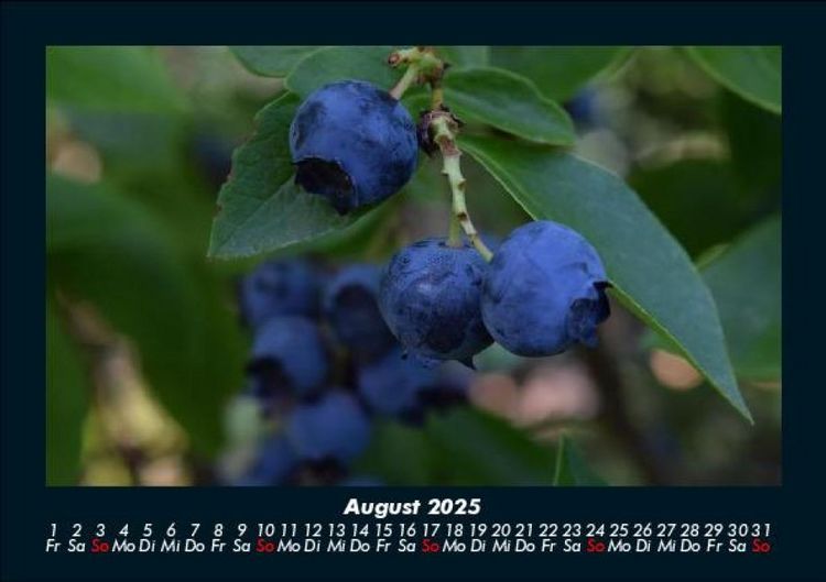 Produktbild: Obstkalender 2025 Fotokalender DIN A5