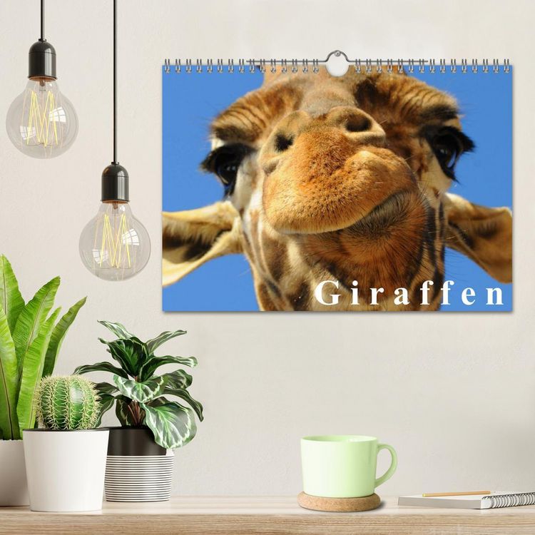 Produktbild: Giraffen / Geburtstagskalender (Wandkalender 2026 DIN A4 quer), CALVENDO Monatskalender