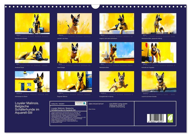 Produktbild: Loyaler Malinois. Belgische Sch&auml;ferhunde im Aquarell-Stil (Wandkalender 2026 DIN A3 quer), CALVENDO Monatskalender