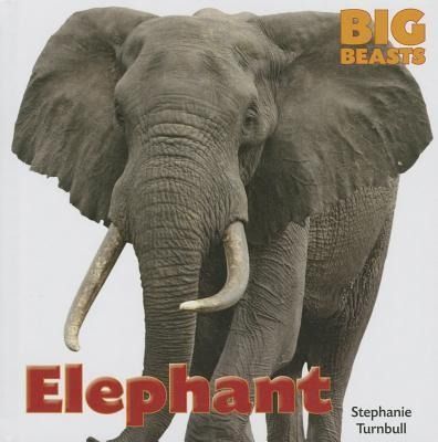 Produktbild: Elephant