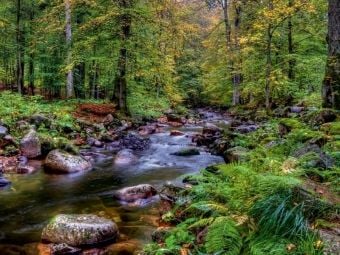 Produktbild: CALVENDO Puzzle Elendtal bei Schierke | 1000 Teile Lege-Gr&ouml;&szlig;e 64x48cm Foto-Puzzle f&uuml;r gl&uuml;ckliche Stunden