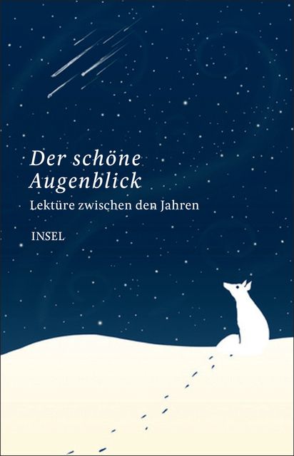 Produktbild: Lekt&uuml;re zwischen den Jahren