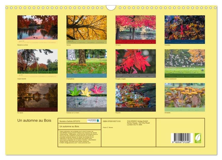 Produktbild: Un automne au Bois (Calendrier mural 2026 DIN A3 vertical), CALVENDO calendrier mensuel