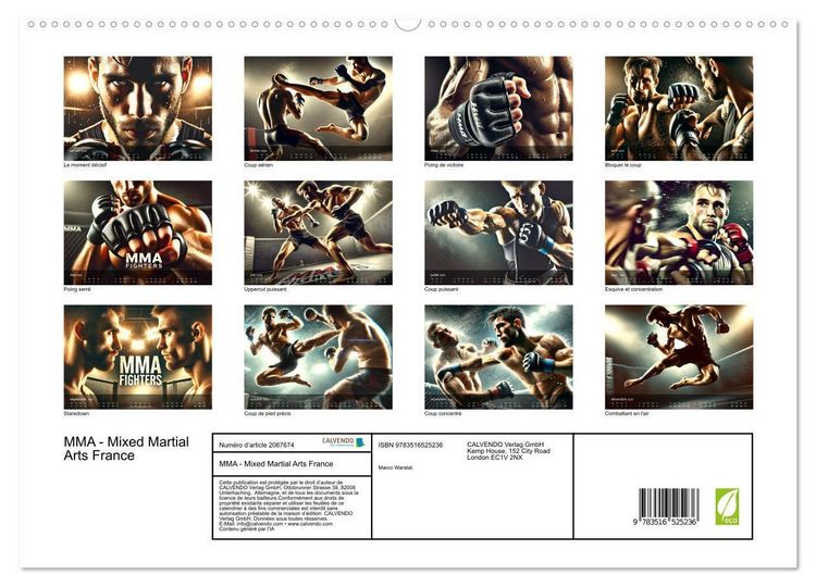 Produktbild: MMA - Mixed Martial Arts France (Calendrier mural 2026 DIN A2 vertical) calendrier de bureau