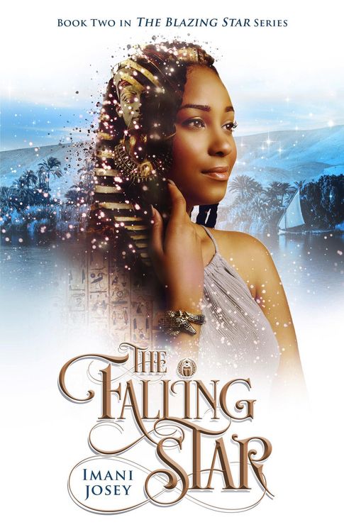 Produktbild: The Falling Star