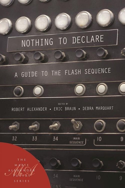 Produktbild: Nothing to Declare