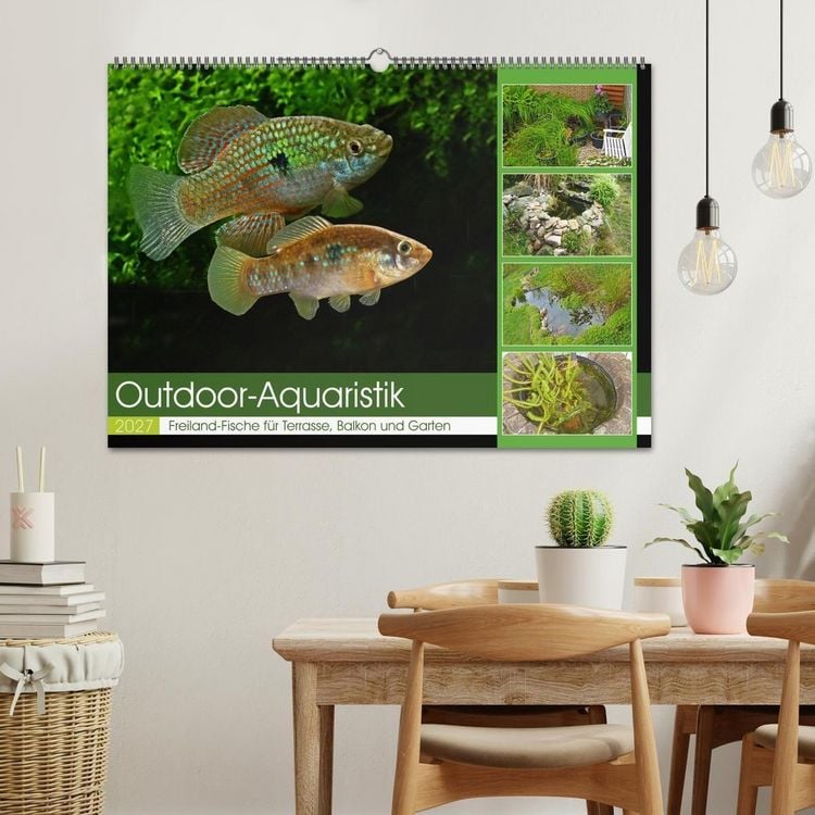 Produktbild: Outdoor-Aquaristik (Wandkalender 2027 DIN A2 quer), CALVENDO Monatskalender