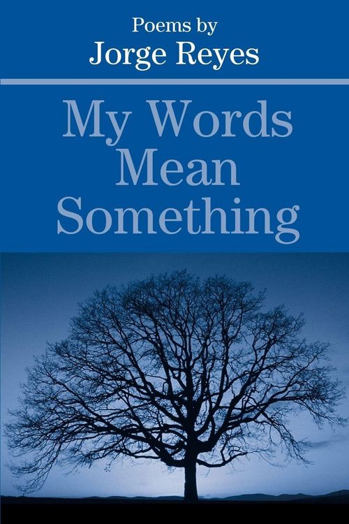 Produktbild: My Words Mean Something