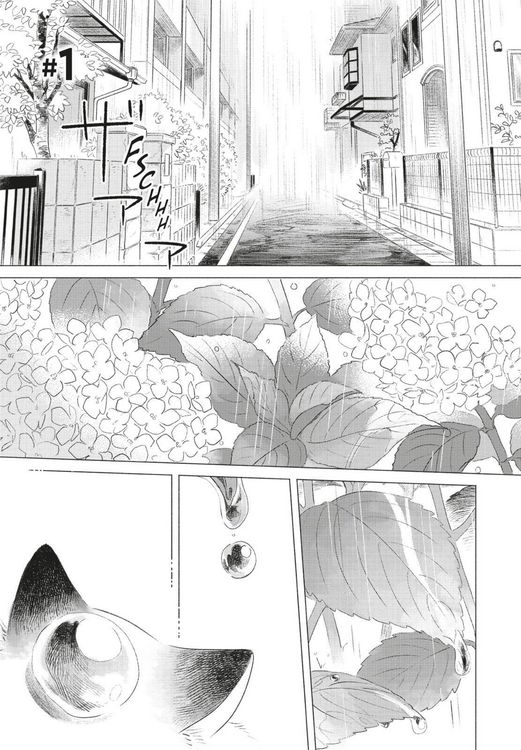 Produktbild: Fairy Cat 1