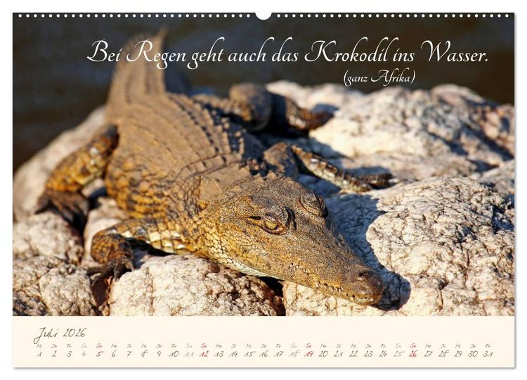 Produktbild: AFRIKA mit einem Hauch von Poesie (Wandkalender 2026 DIN A2 quer), CALVENDO Monatskalender